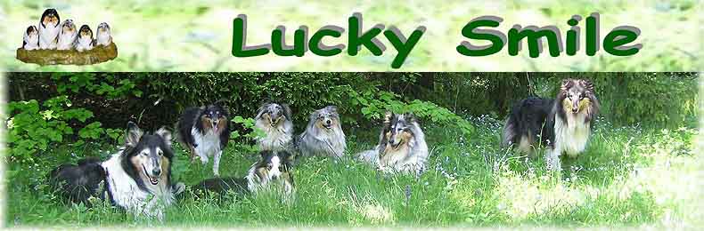 LuckySmile logo